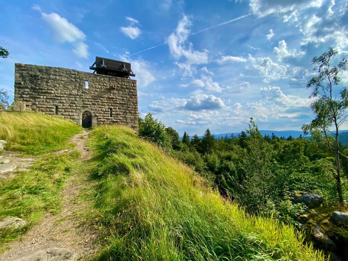 Ferienwohnung Oxana Im Naturpark Fichtelgebirge Schonwald  Екстер'єр фото