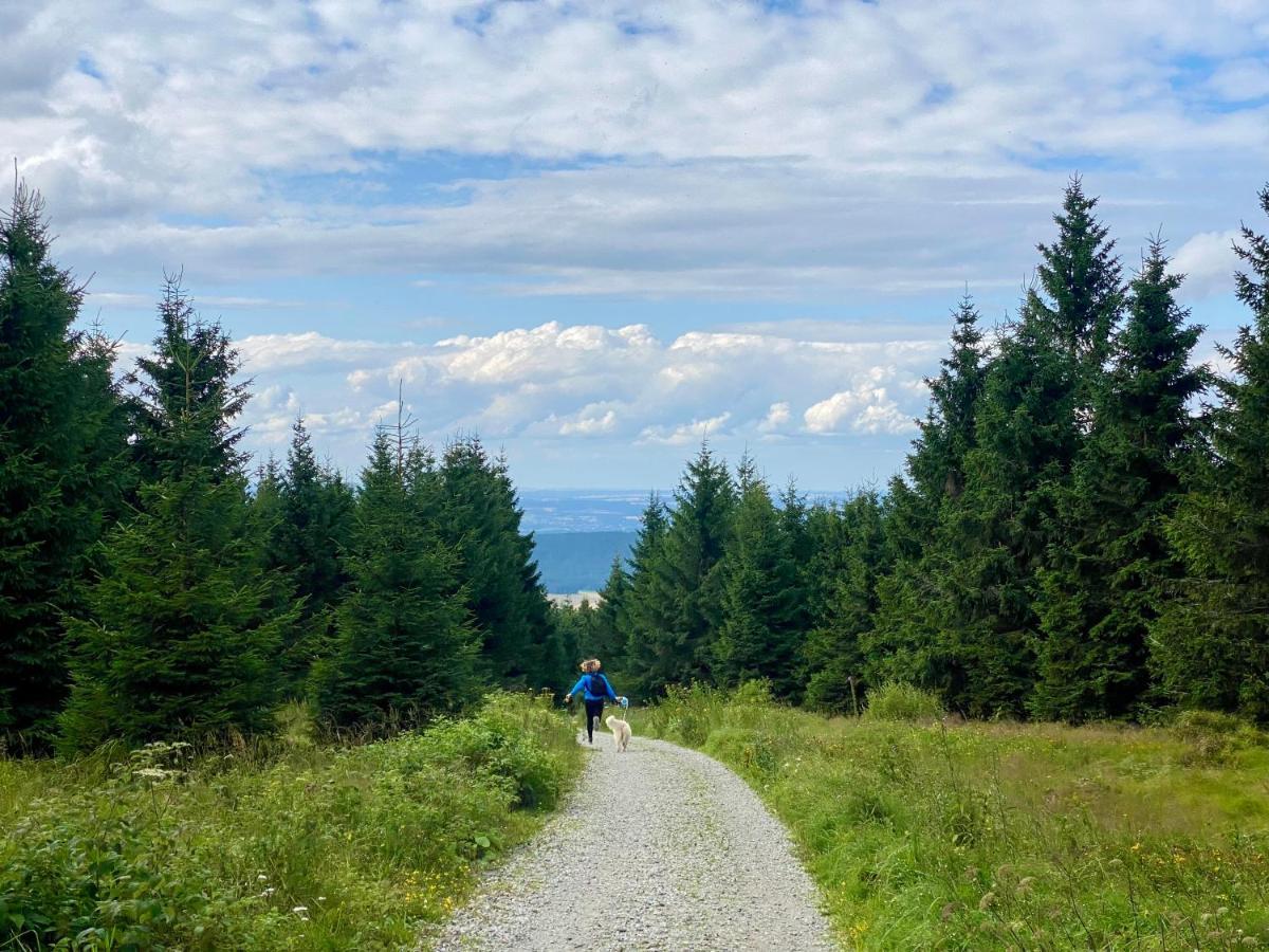 Ferienwohnung Oxana Im Naturpark Fichtelgebirge Schonwald  Екстер'єр фото
