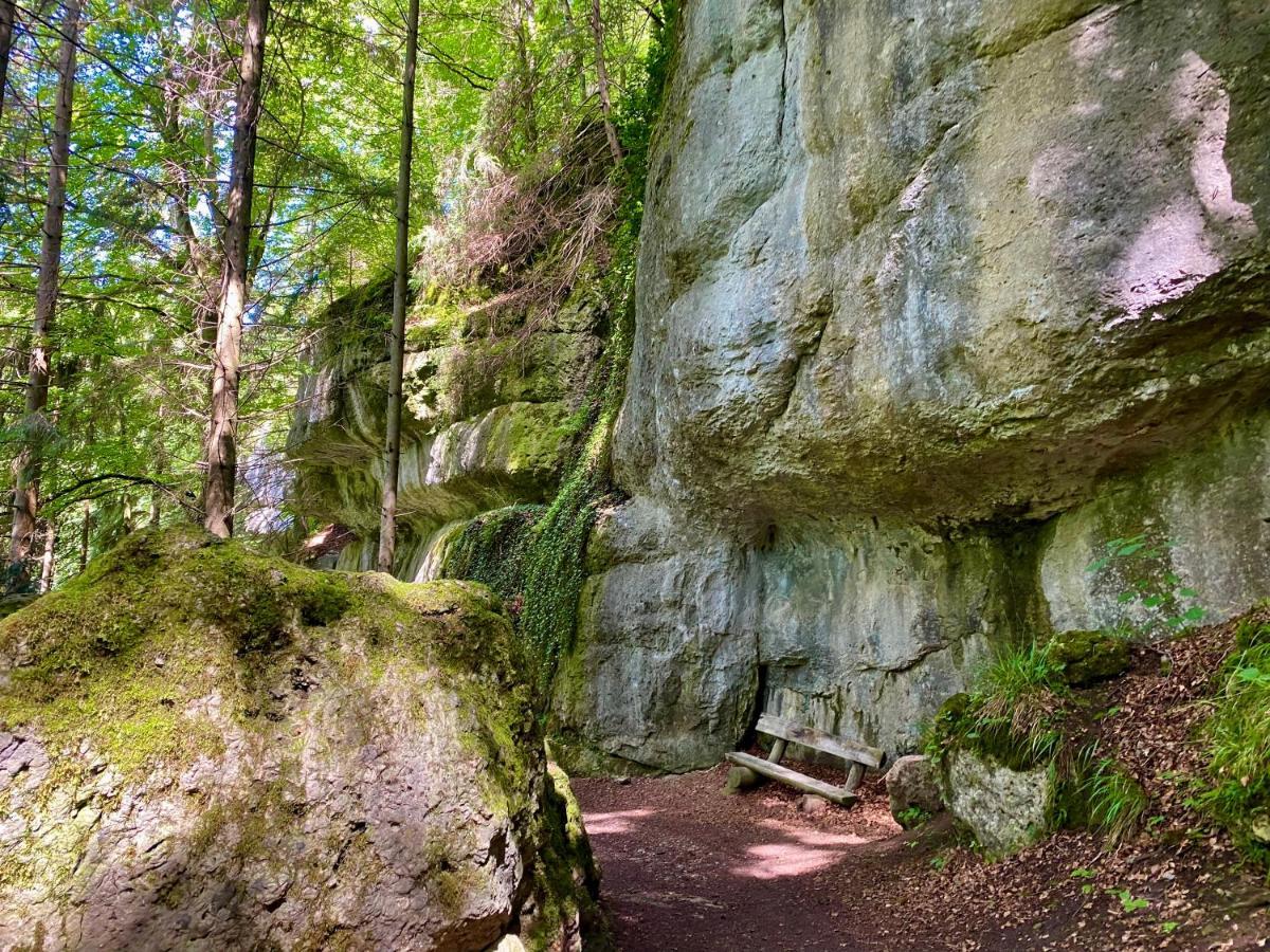 Ferienwohnung Oxana Im Naturpark Fichtelgebirge Schonwald  Екстер'єр фото