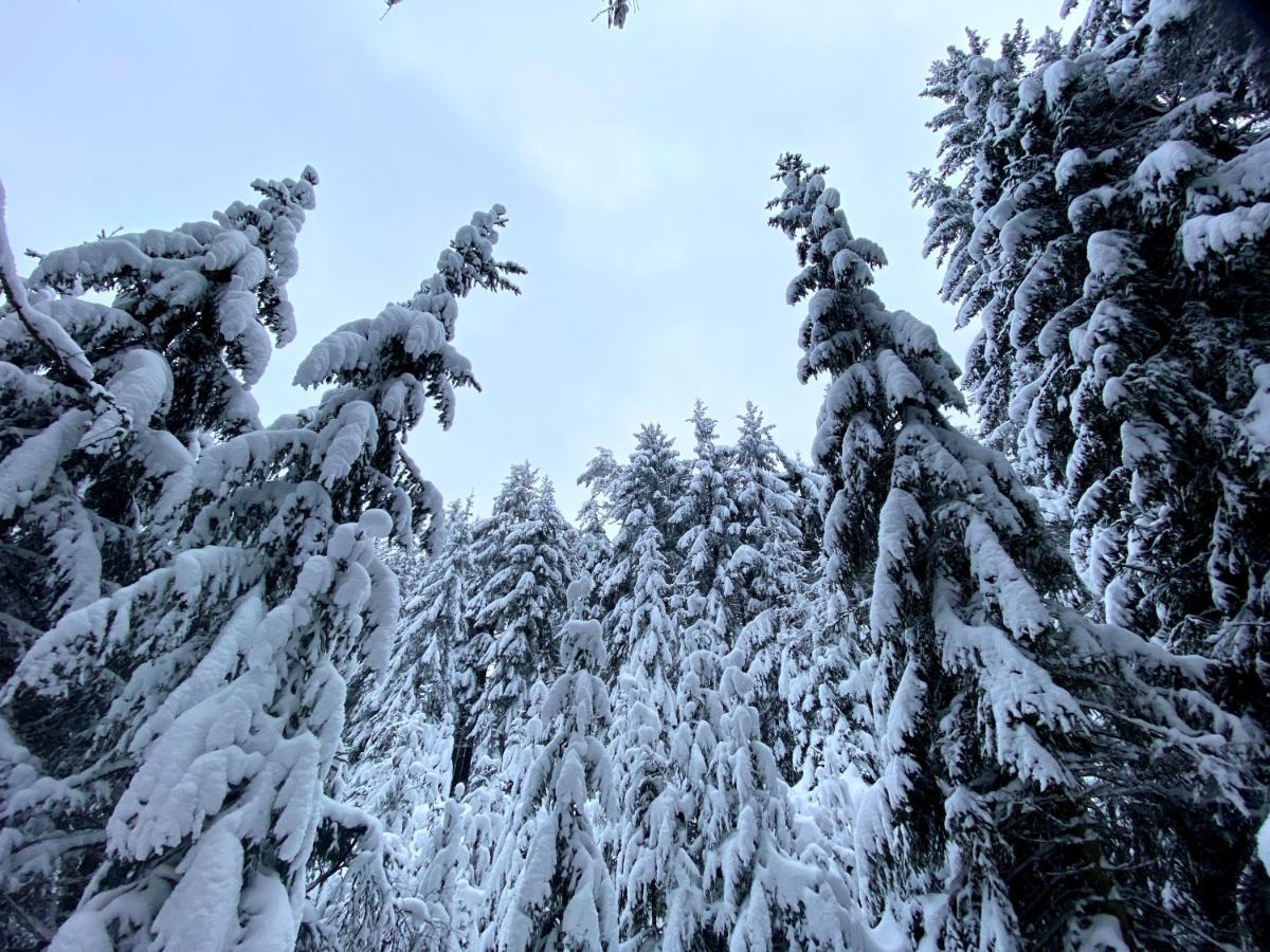 Ferienwohnung Oxana Im Naturpark Fichtelgebirge Schonwald  Екстер'єр фото
