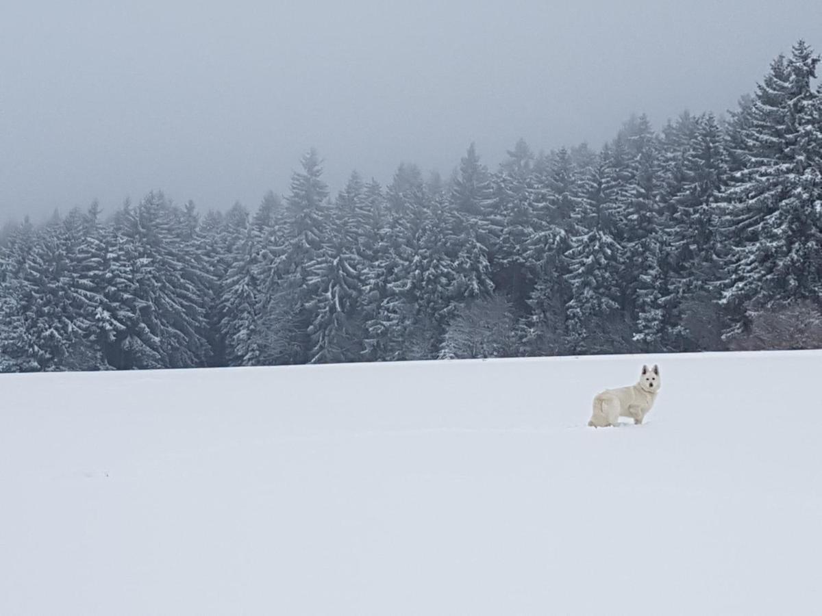 Ferienwohnung Oxana Im Naturpark Fichtelgebirge Schonwald  Екстер'єр фото