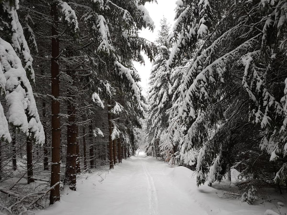 Ferienwohnung Oxana Im Naturpark Fichtelgebirge Schonwald  Екстер'єр фото